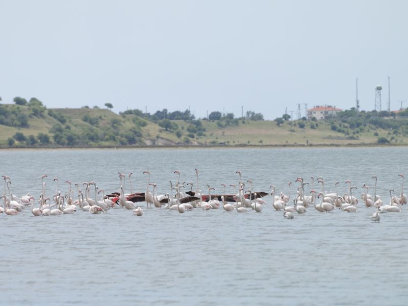 Lake Nakuru