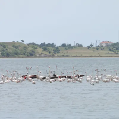 Cathay Pacific Flights to Malindi