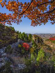 夢泉生態旅遊区