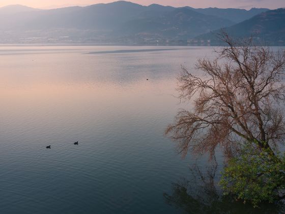 夢裡水鄉濕地公園