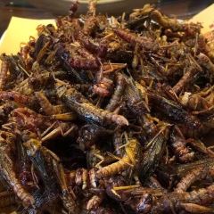 张家水盆羊肉 User Photo
