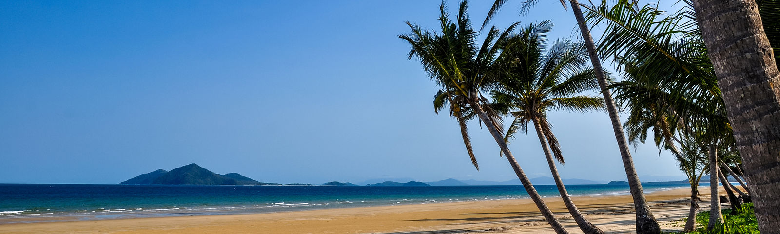 Mission BeachTours