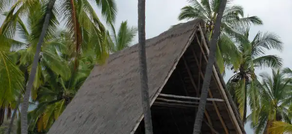 Hotels in Captain Cook