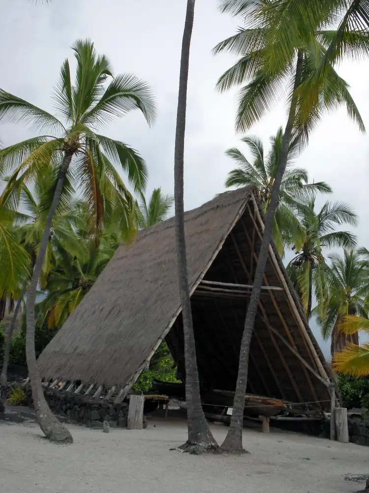 Hotels in Captain Cook