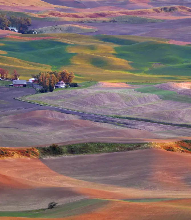 Palouse