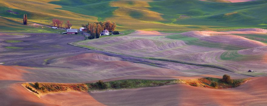 Palouse