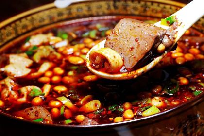 DA YI FEI CHANG XIE WANG