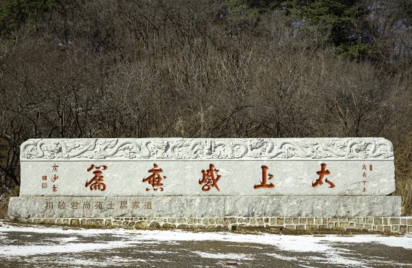 飛馬航空 飛 普羅維登西亞萊斯島