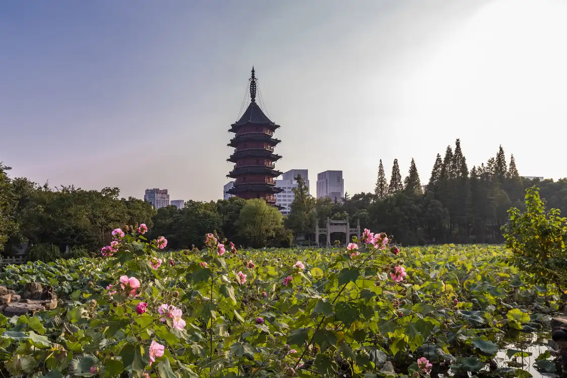 Hotels near Feiying Tower