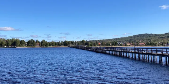 Observation Head Lookout