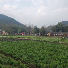 Dao Ming Zhu Li User Photo
