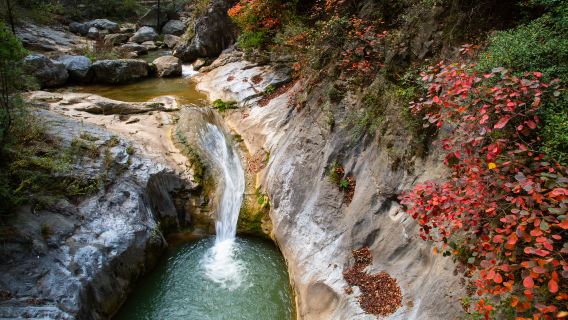 【小白龍優選線】西峽頌摩崖石刻+甘肅秦文化博物館一日遊