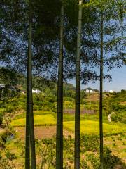 Fujianshang Jinbei Sceneic Area