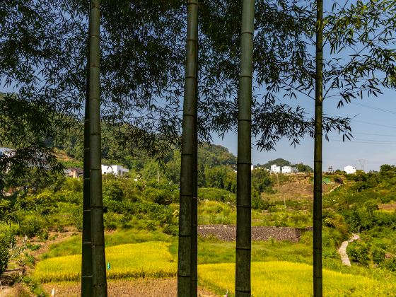 Fujianshang Jinbei Sceneic Area