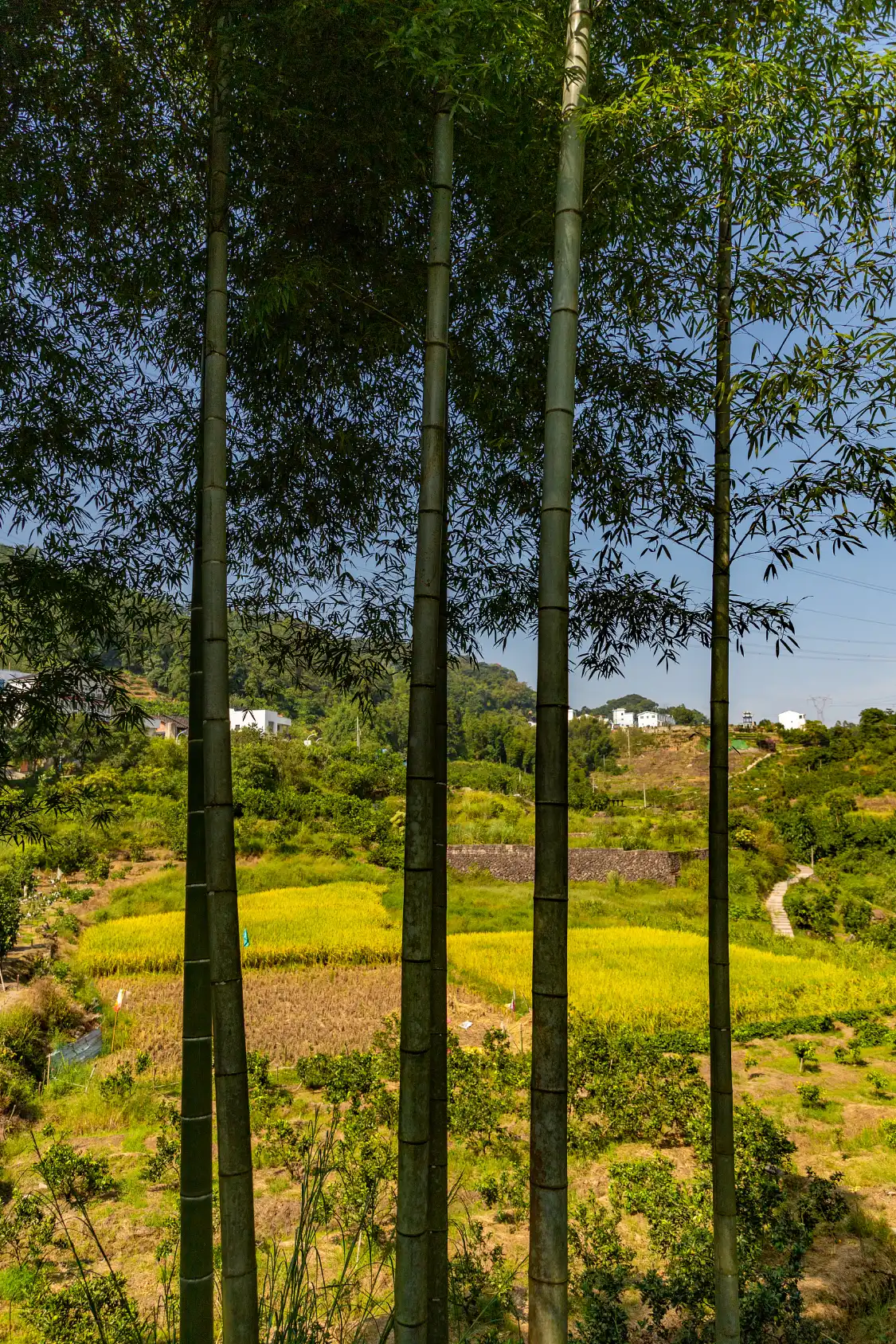 Hotels near Fujianshang Jinbei Sceneic Area