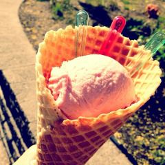 Ed's Real Scoop (Beaches)張用戶圖片