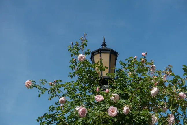 Отзывы об отеле The Bidwell Marriott Portland