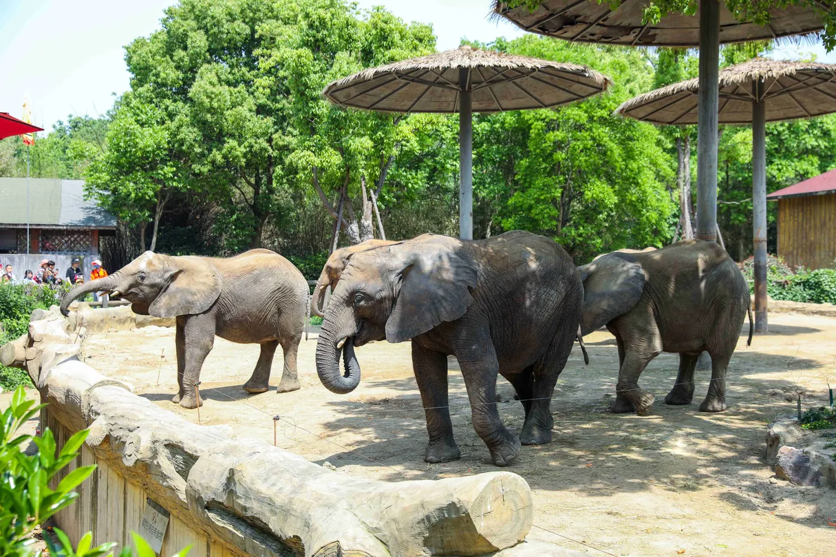 5_淹城野生動物世界