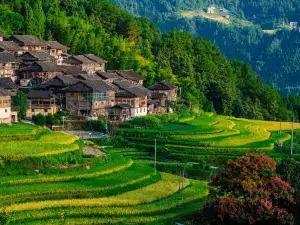 Zhenlei Village