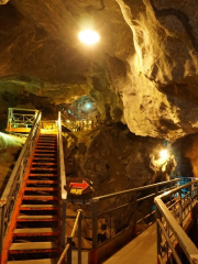 Kyūsendō Cave (Kuma Forestry Association)