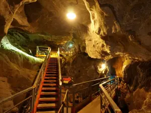 Kyūsendō Cave (Kuma Forestry Association)