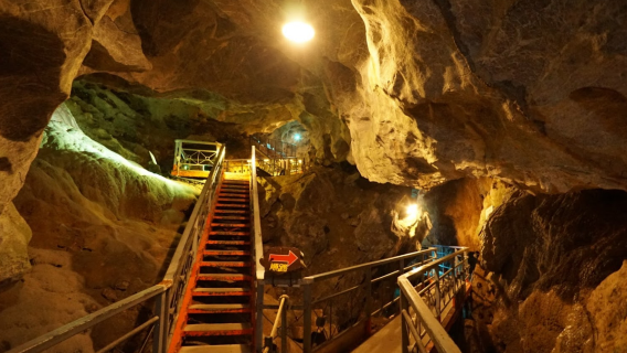 Kyūsendō Cave (Kuma Forestry Association)