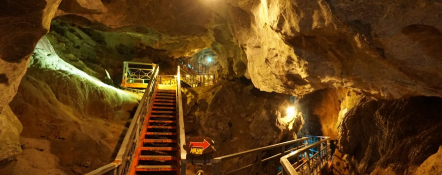 Kyūsendō Cave (Kuma Forestry Association)