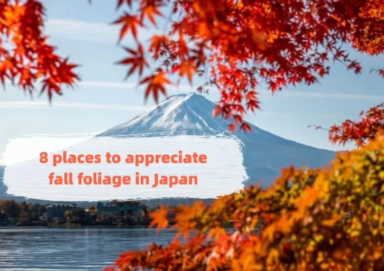 8 places to appreciate gorgeous fall foliage in Japan’s Fukuoka 