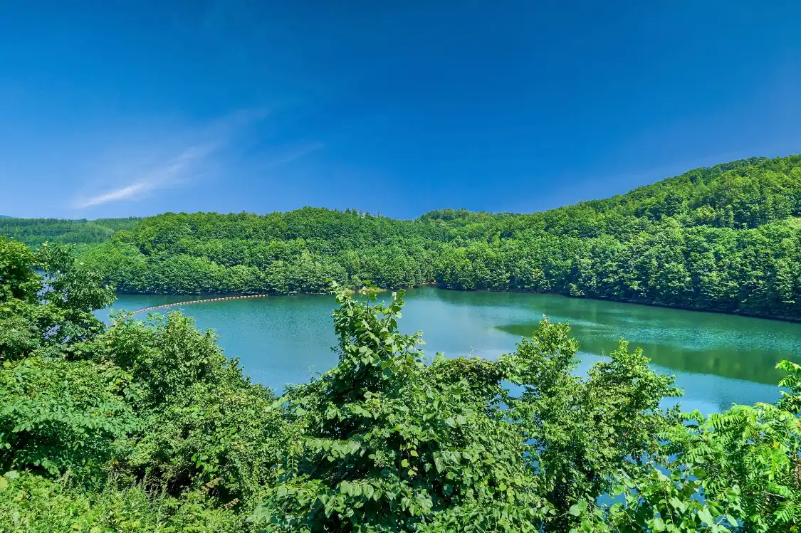 Hotels near Sahoro Resort Bear Mountain