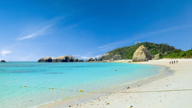 沖縄渡嘉敷島日帰り海水浴ツアー・フェリー（離島港からビーチまでの送迎付き）