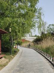 Культурный парк водно-болотных угодий в озере Ц