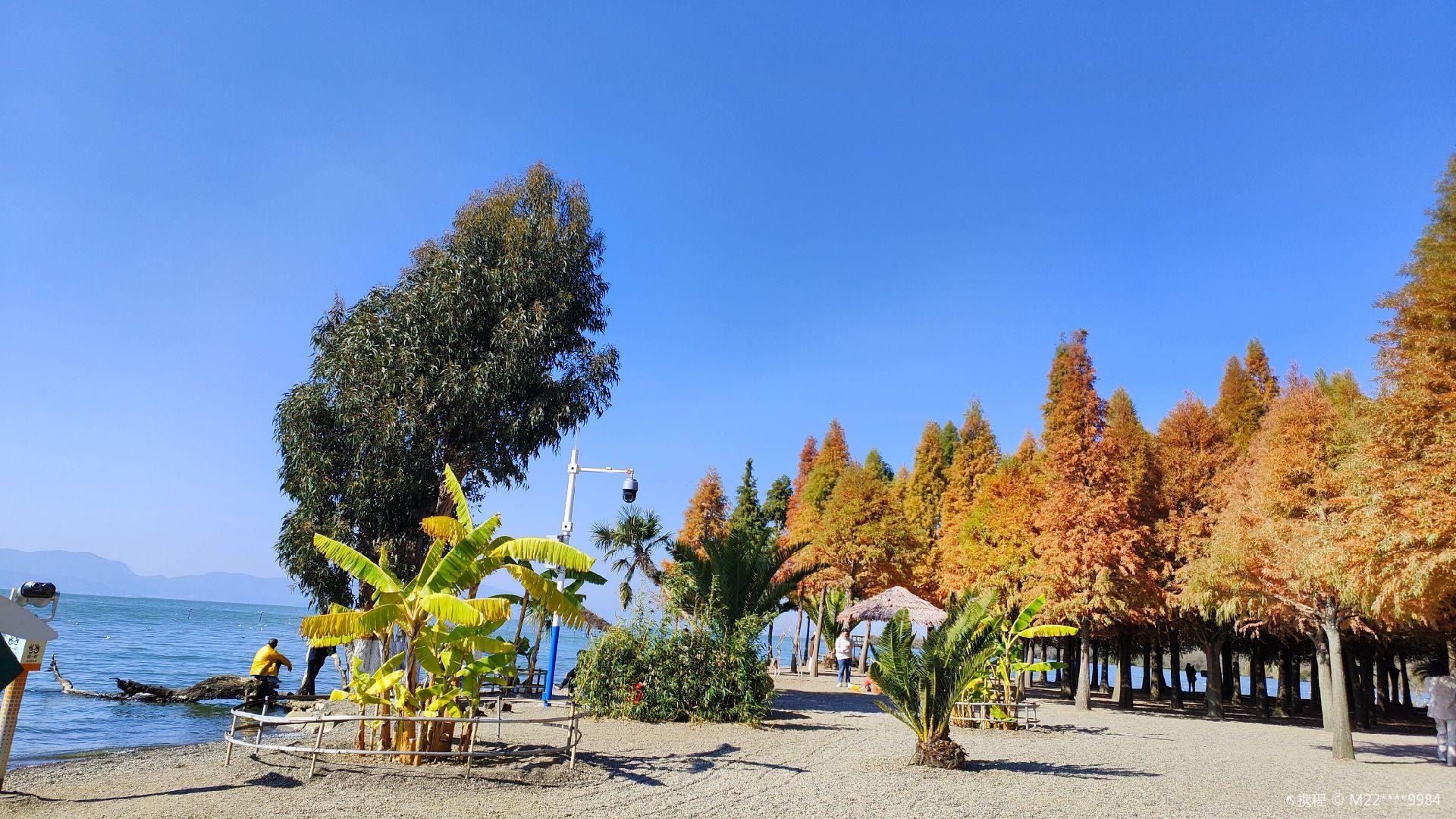 [Pure Fun] one-day tour of Ethnic Village + Haihong Wetland + Laoyu River + Haiyan Village