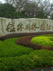 Kunming Botanical Garden