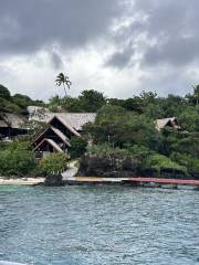 Royal Davui Island Resort