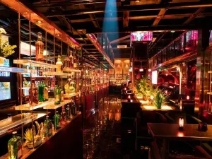 Dark Forest Bar