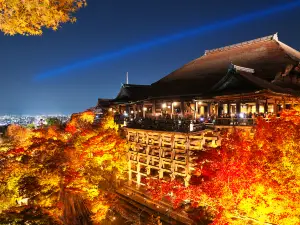 Migliori 20 Attrazioni del Giro Notturno a Prefettura di Kyoto