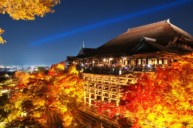 Admire Maple Leaves in Kyoto