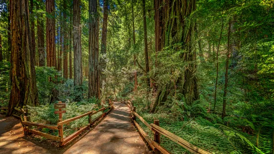 Muir Woods National Monument