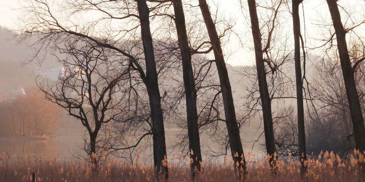 Mount Zipeng National Forest Park
