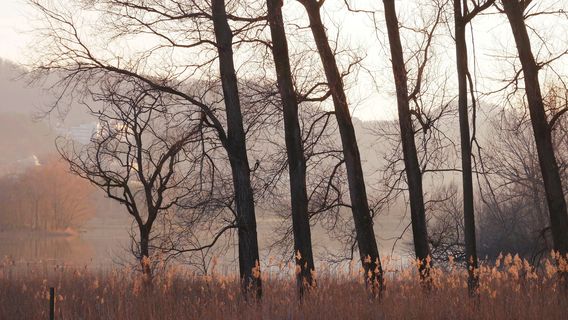 Mount Zipeng National Forest Park