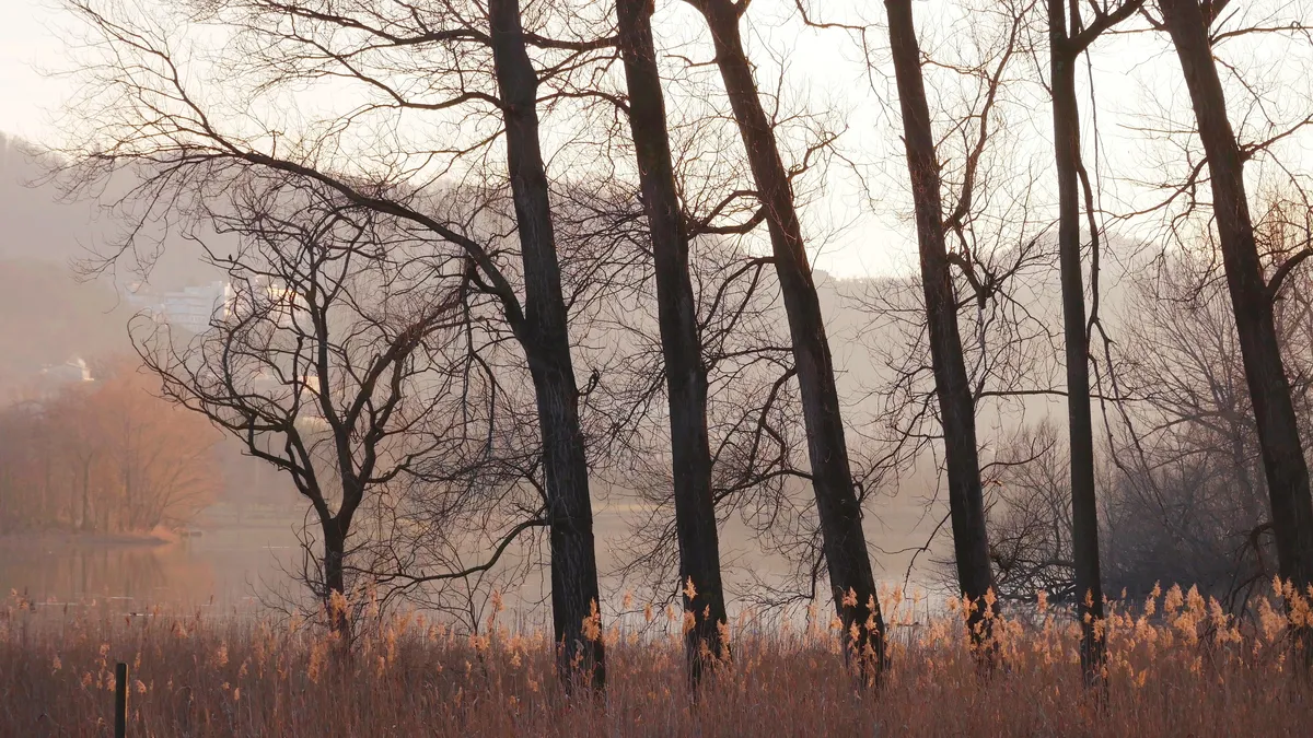 Mount Zipeng National Forest Park