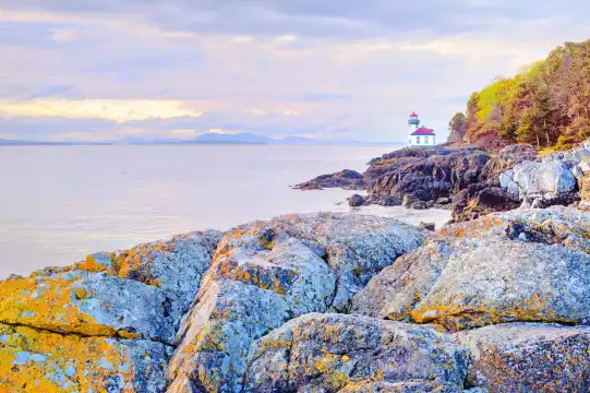 Hotels near Ocean Park