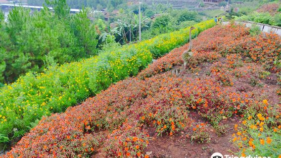 Rainbow Garden Lembang