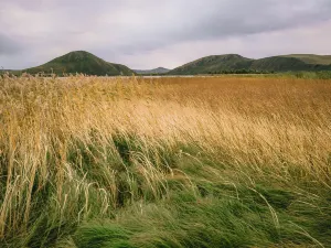 Duolun Lake Scenic Area
