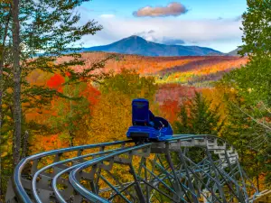 Cliffside Coaster