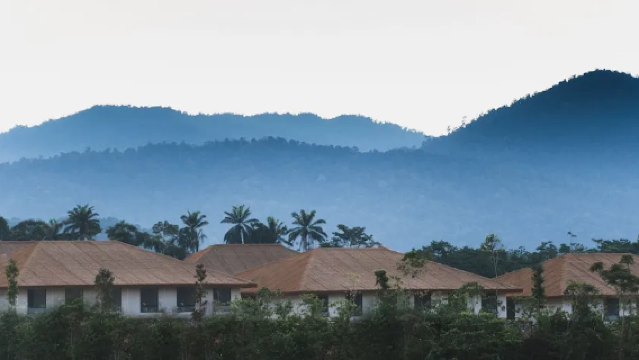 Monkeys Canopy Resort