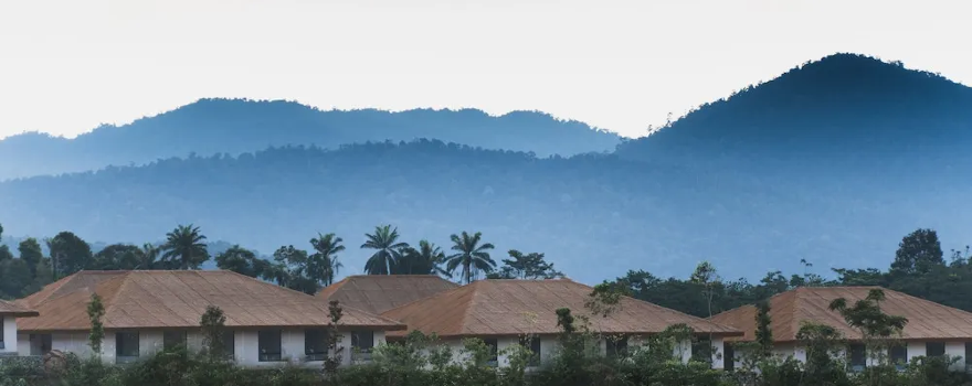 Monkeys Canopy Resort Malaysia
