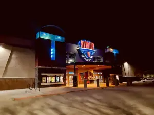 Aviator 10 - Allen Theatres