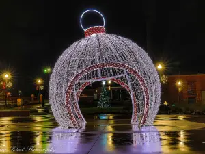 Forest City Christmas Lights