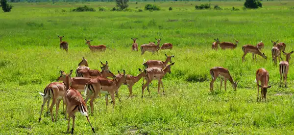Hotels in Morogoro